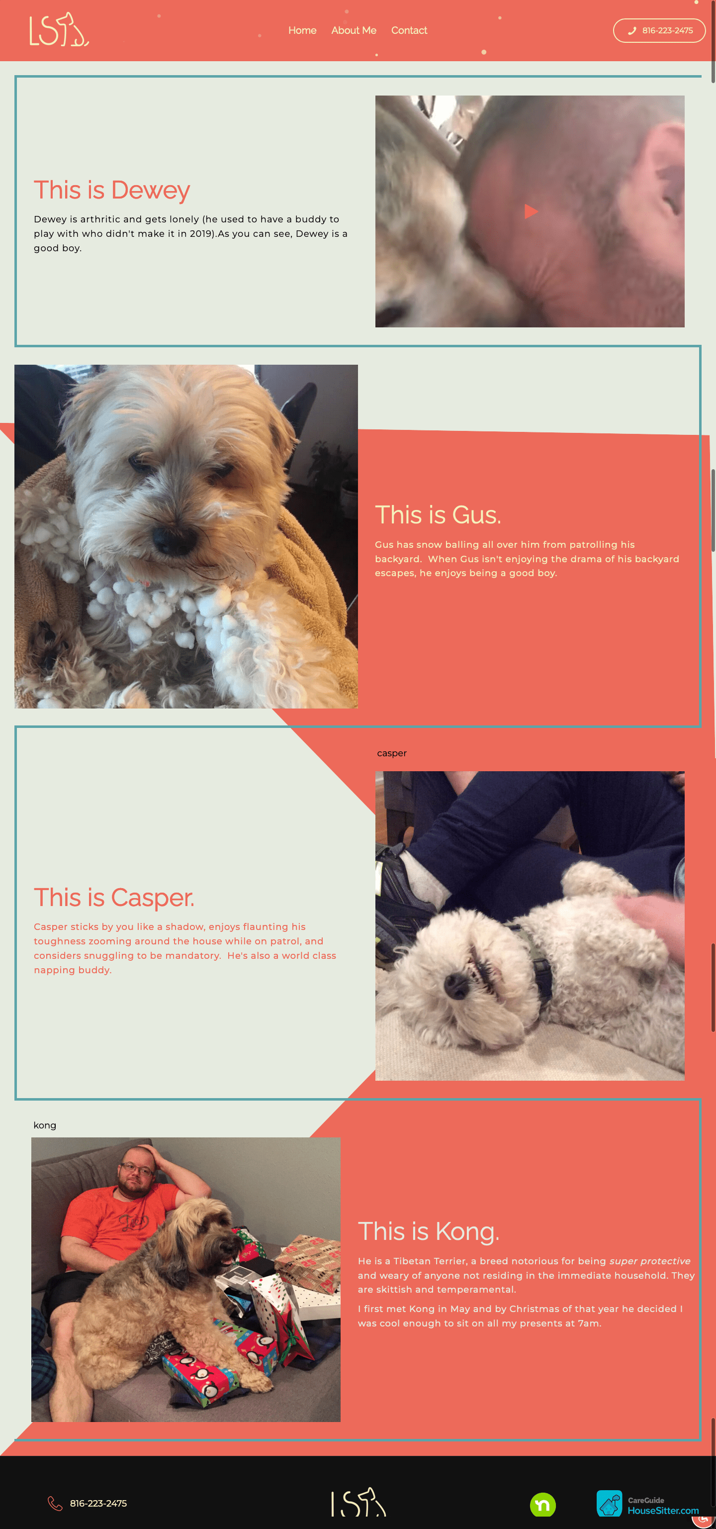 Custom Web Design for Lee's Summit Dog Sitter